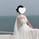 [드레스6] 부산 블랑드윈느 로라스튜디오 해리 드레스 후기