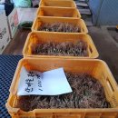 한진1농장 이미지