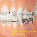 굿플란트치과의원 이미지