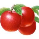 동백장 모텔 이미지