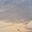 뚱's 까까 | 230507-16 | 햅삐 체육대회 | 청주 당일 꽃다발 꽃을 탐하다 • 어버이날 레터링케이크 수피아케이크...