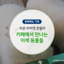 꾸꾸네 친구들 이미지