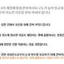 혜초여행사 이미지