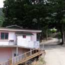 필봉민박