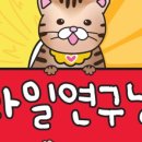 과일연구냥