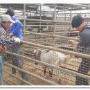 김단오농장 이미지