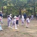 서상초병설유치원 이미지