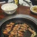 고기야고기야 이미지