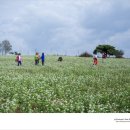 김종찬농장 이미지