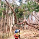 청계산 원터골쉼터 화장실 이미지