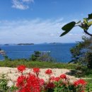 흰작살펜션 이미지