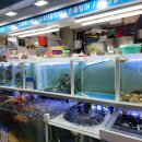 대추나무노래연습장 이미지