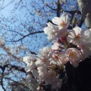 이재옥농장 이미지