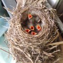 수락 농장 이미지