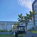 힐링산부인과의원 이미지