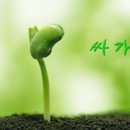 둔사 네이버블로그