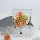 르블랑솝