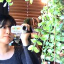 기성뷰그리안 | [공간 고즈넉 | 부천] 소규모여도 즐겁게 놀 수 있는 부천역 파티룸