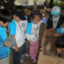 서평초등학교병설유치원 이미지