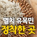 대청건어물