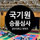 장안태권도 | 국기원 승품심사 태권도 2품 심사 후기 /장안대학교 체육관 주차꿀팁!