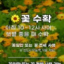 메리골드 이미지