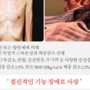 웰빙파워