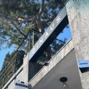 디나우스 이미지