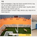 서귀포강정크루즈터미널 2층 대합실 | 여수에서 배 타고 제주도 가는 방법. 한일고속 골드스텔라 1등객실(2인) 승선기. 골드스텔라 운항 정보