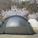 문라이트캠핑장 이미지