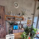 7371 | 청주 봉명동 사주카페 🔮 편안한 분위기에서 상담 받고 온 후기