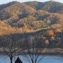 스와니 펜션 이미지