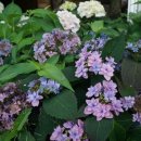 수안영농조합법인 이미지