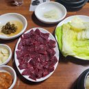 선몽생고기