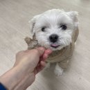 하늘농산 이미지