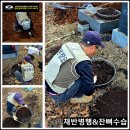 강원특수여객 Daum카페