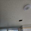 서창태평2차아파트 | 인천 남동구 서창 태평2차아파트 누수도배