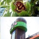 정안영농조합법인 이미지