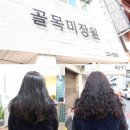 댕댕이 미장원 | 청주미용실추천! 골목미장원 성안점에서 펌한 후기 ♪