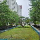 문원초등학교 | 과천 래미안슈르 임장 후기｜실거주·투자 모두 좋은 아파트 시세