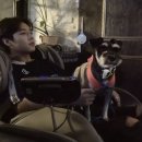 마루기획 이미지