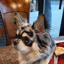 헬로반디 이미지