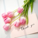 은혜머리마당 이미지