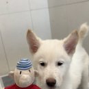 벌떡 이미지