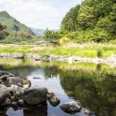 별의계곡 이미지