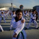 태권도세계도장 이미지