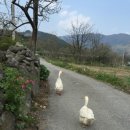 대밭민박 이미지