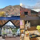 GS25 진부점 | 부모님과 함께한 실패 없는 정선 파크로쉬 호캉스 코스