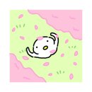 바리샵