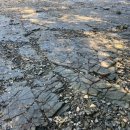 공룡화석지 | 경남 고성 회화면 공룡발자국화석지 후기 : 공룡 발자국만 보러가는 곳